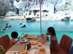 -广东省拱北口岸中国旅行社(华宾营业部)