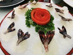 -寻味顺德·南记酒家·传统顺德菜·鱼生(广源路店)
