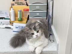 -爱诺耐芙动物医院(万博店)