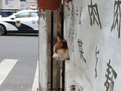 -小梁哥云吞面(黄贝岭店)