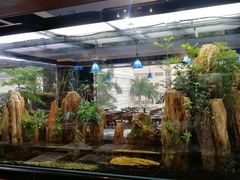 -泰谷酒店·太古码头闽菜自助餐厅