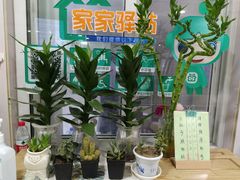 -北京市朝阳区奥运村社区卫生服务中心