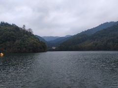 -江西阳明山国家森林公园