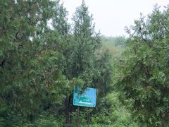 -阳台山自然风景区