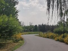 -永定河休闲森林公园