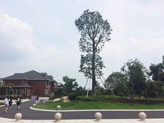 -洛漾舸船宴餐厅(洛漾半岛店)