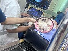 -瑞派紫金宠物医院24小时·骨科·中兽医·重症转诊中心(番禺大石院)
