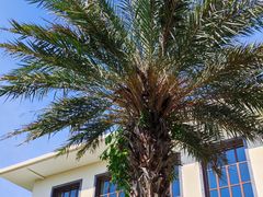 -惠州金海湾嘉华度假酒店