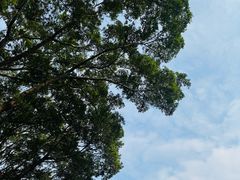 -荔湾湖公园