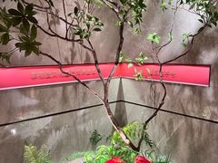 -山东八大碗山东老字号