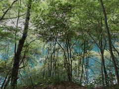 -叠溪松坪沟景区