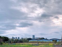 -光明小镇欢乐田园