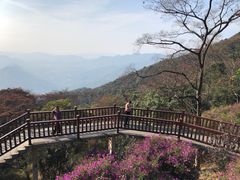 -广州市石门国家森林公园