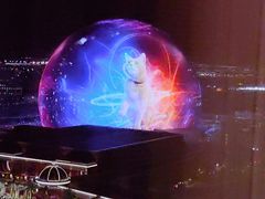 -拉斯维加斯永利酒店