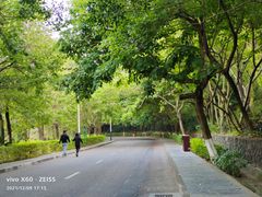 -水濂山森林公园