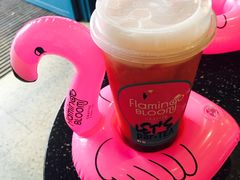 -Flamingo Bloom(TST /尖沙咀店)