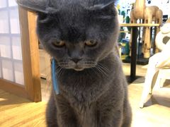 -小时光咖啡馆(开森度假森林店)