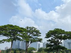 -二沙岛艺术公园