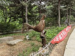 -北京西山国家森林公园