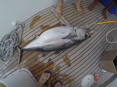 -奥特瑞格科诺塔马尔代夫度假酒店