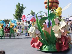 -荷兰花海