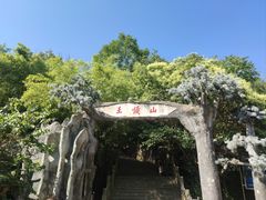 -王顺山国家森林公园