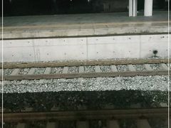 -东北参茸城参茸土特产批发中心