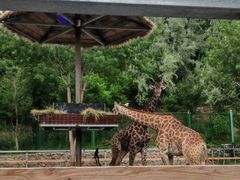 -水上乐园·欢乐世界