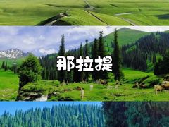 -赛里木湖风景名胜区