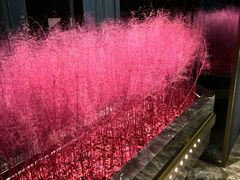 -尚善若水·汤泉·SPA·沐足(东方渔人码头店)