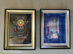 -VEGA VEGA 我行我素
