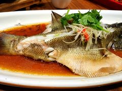 -有红鸡毛店·川菜(建设路店)