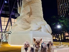 -深圳湾万象城(南山店)