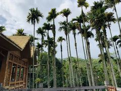 -海南槟榔谷黎苗文化旅游区