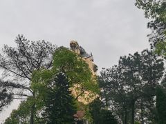 -大金鹰园