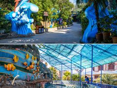 -横店影视城梦幻谷园区