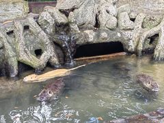 -海南热带野生动植物园