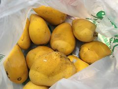 AA级树上熟台农香芒-叶氏兄弟(大连奥特莱斯店)