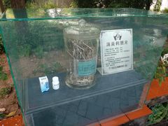 -广州神农草堂中医药博物馆