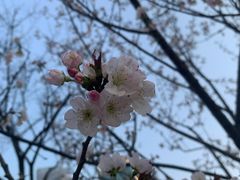 -西北湖绿化广场