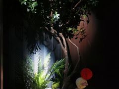 -宫七SPA·高端Massage(浦东大道店)