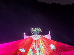 -《神游传奇》秀