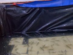 -小象钓虾·营地烧烤(洛溪店)