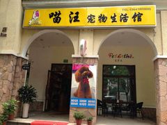 android_upload_pic-喵汪宠物生活馆(涞坊路店)