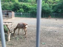 -北京山里寒舍度假酒店