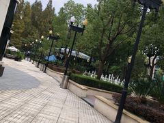 -子福慧(虹桥店)