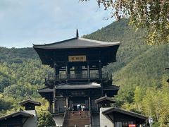 -大唐贡茶院