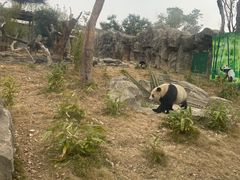 -武汉动物园