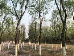 -东郊湿地公园