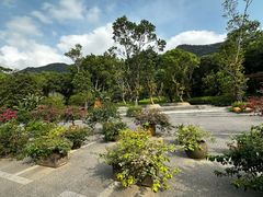-深圳仙湖植物园